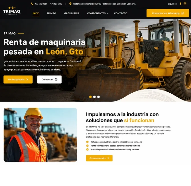 diseñador paginas web mexico