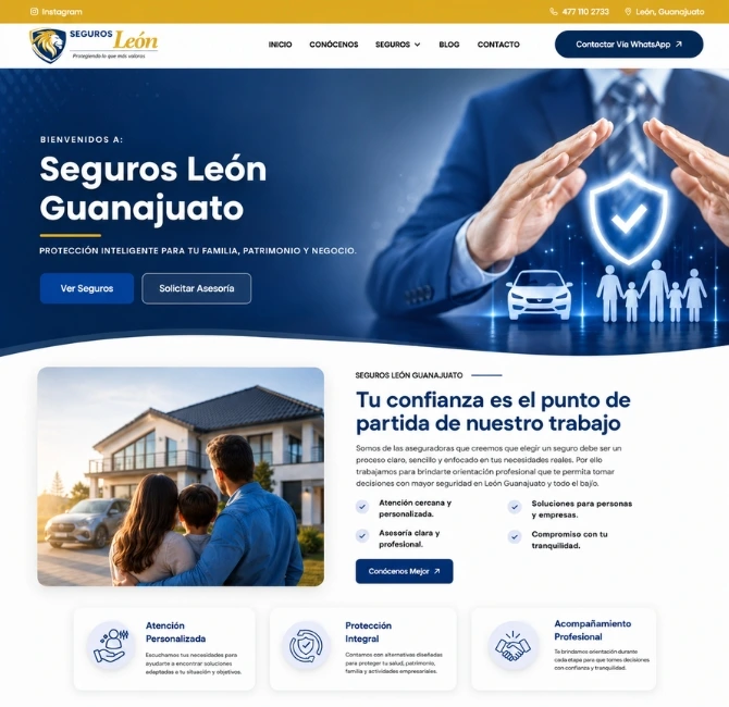 diseñador paginas web mexico