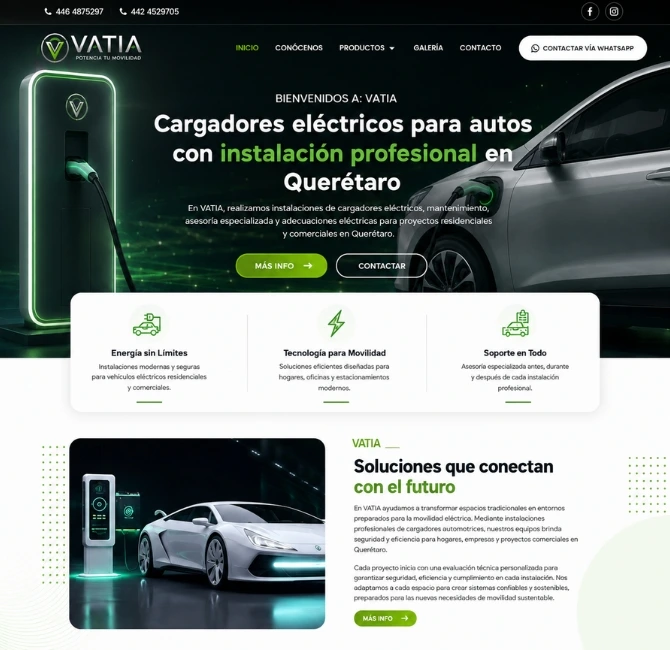 diseñador paginas web mexico