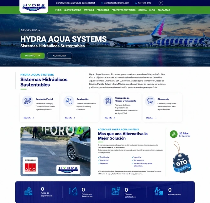 diseñador paginas web mexico